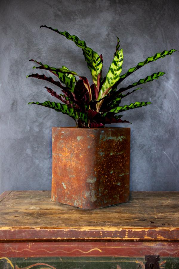 Donica corten Kortes - Blue L – surowa estetyka, rdzawy efekt stali corten
