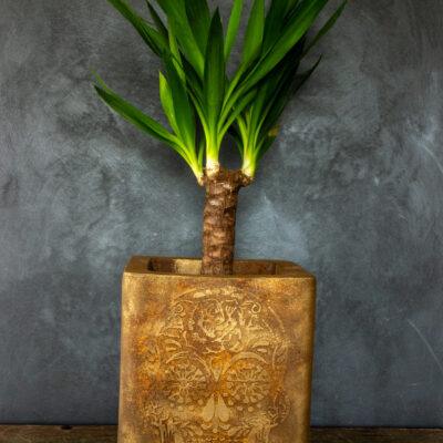 Donica cortenowa z czaszką 27x27x30 cm – wyjątkowa forma w stylu industrialnym