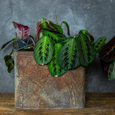 Donica cortenowa z ornamentem 25x25x21 cm – dekoracyjna donica w stylu loft
